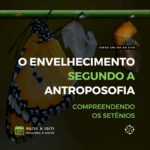 Curso online ao vivo: O envelhecimento segundo a Antroposofia